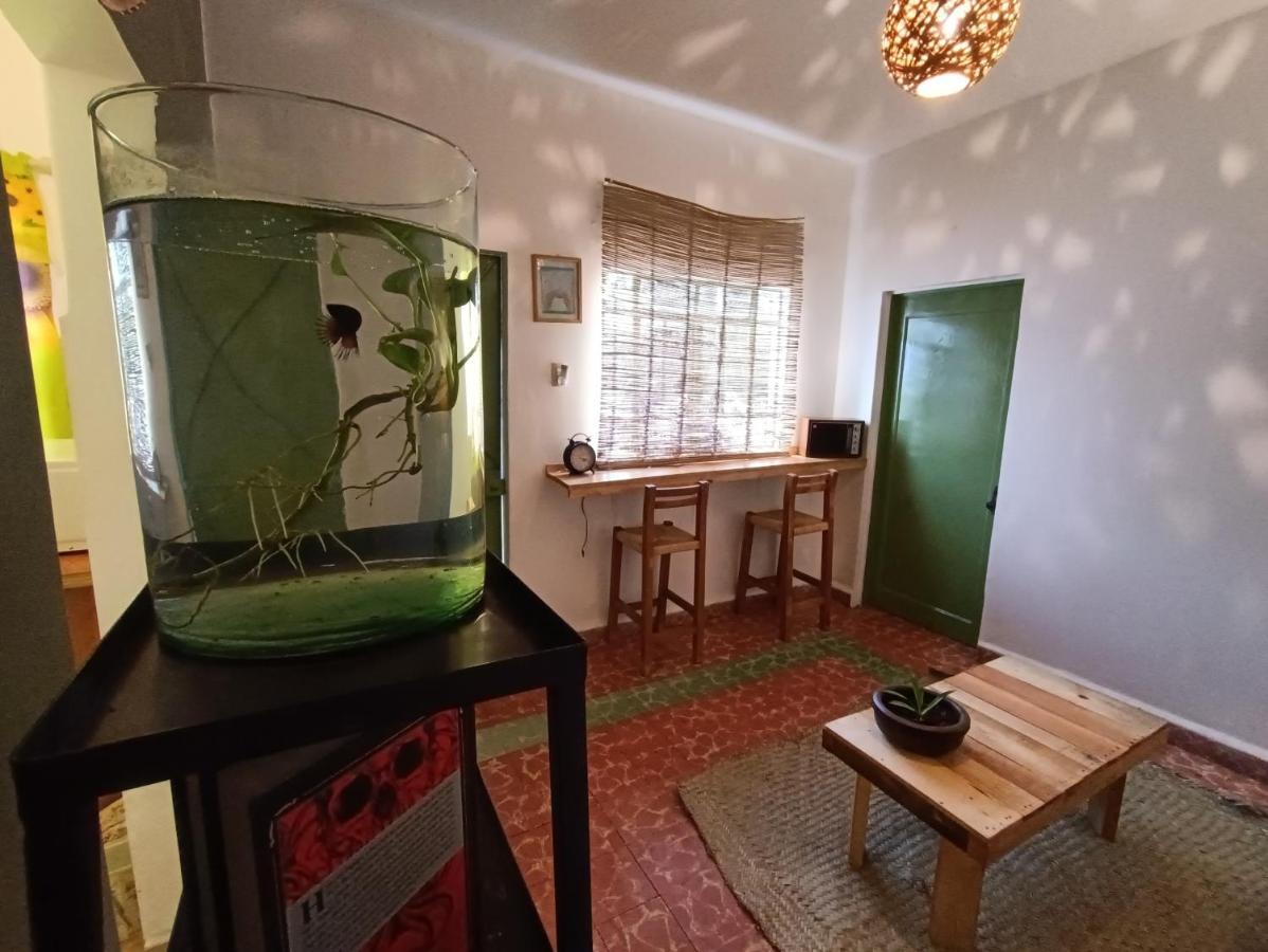 Posada Casa Mexicana Jamaica مدينة مكسيكو المظهر الخارجي الصورة